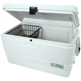 Igloo 72 qt. Hard Sided Ice Chest Cooler, White